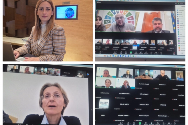 Webinar on administrative simplifications – toward strengthened public-business sector cooperation ...