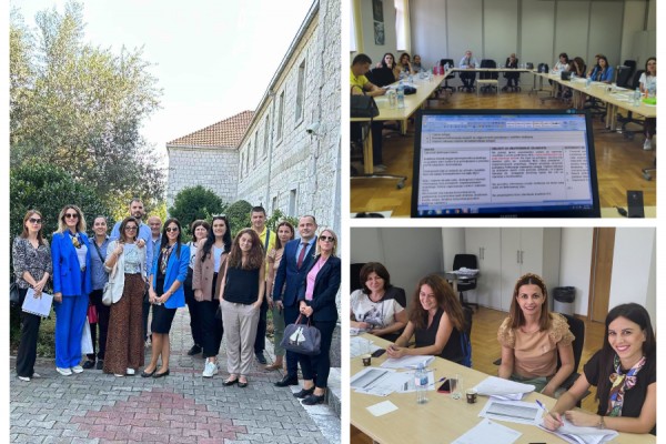 The CAF Self-assessment team from the Ministry of Public Administration in Montenegro identified areas for improvement and prioritised actions to achieve excellence