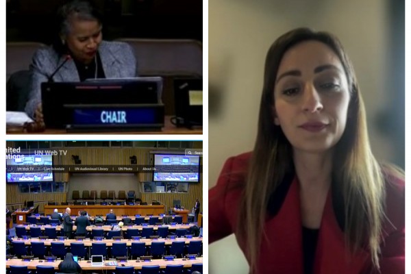 ReSPA Director Contributes to the 22nd Session of the UN Committee of Experts on Public Administration titled “Urgently Transforming Institutions for a Greener, More Inclusive and More Resilient World at a Time of Multiple Crises”