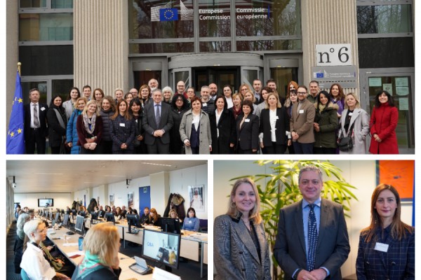 Brussels Masterclass: Concluding the Multiple-Module Capacity Building Programme for translation of the acquis