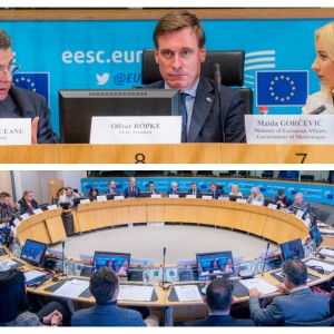 Handjska-Trendafilova at the 17th EU-Montenegro ...