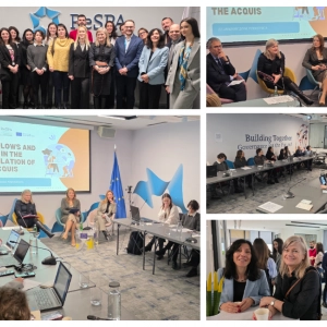 Strengthening acquis translation through ...