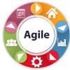 Training on agile governance and leadership