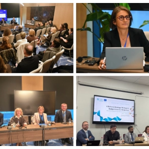 ReSPA Brings Regional Expertise to High-Level ...